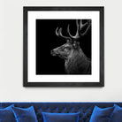 Deer In Black And White by Lukas Holas on GIANT ART - black photo manipulation