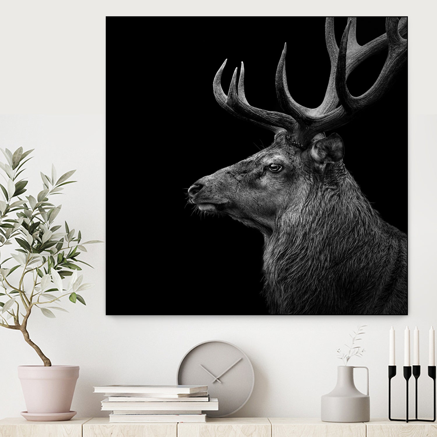 Deer In Black And White by Lukas Holas on GIANT ART - black photo manipulation