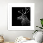 Deer In Black And White by Lukas Holas on GIANT ART - black photo manipulation