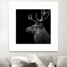 Deer In Black And White by Lukas Holas on GIANT ART - black photo manipulation