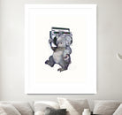 Koala by Laura Graves on GIANT ART - gray digital painting