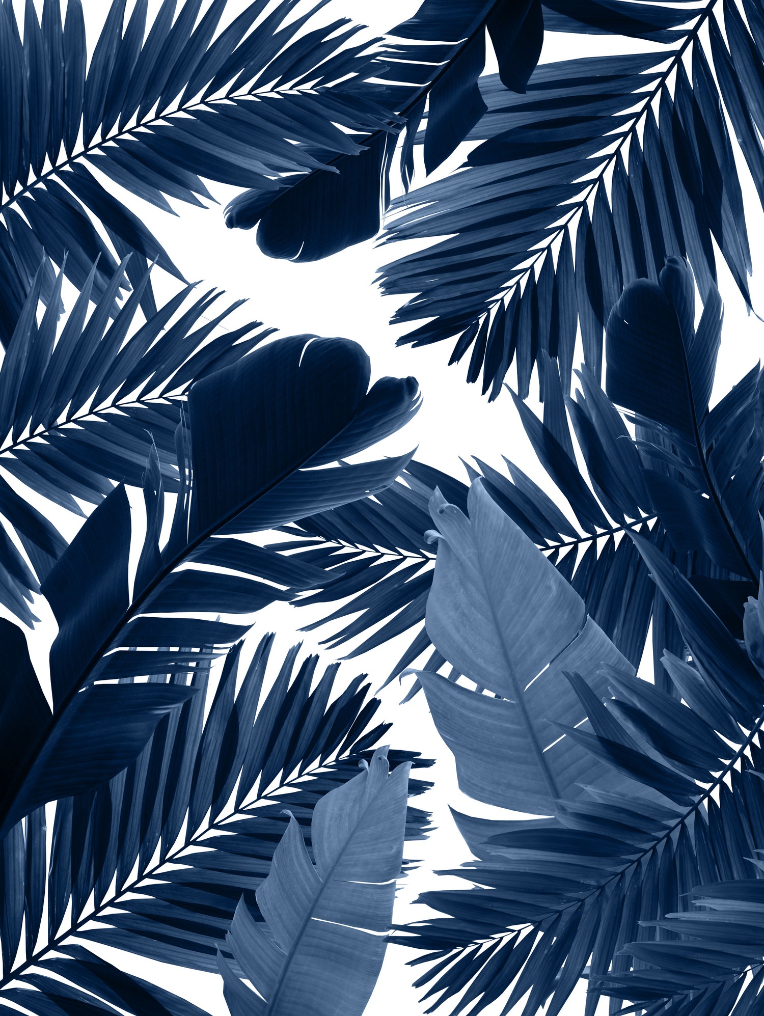 Jungle Leaves Finesse #3 #tropical #decor #art by Anita & Bella Jantz on GIANT ART - blue photo illustration