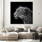 Leopard in black and white by Lukas Holas on GIANT ART - black photo manipulation