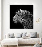 Leopard in black and white by Lukas Holas on GIANT ART - black photo manipulation