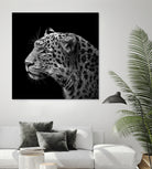 Leopard in black and white by Lukas Holas on GIANT ART - black photo manipulation