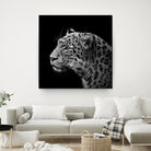 Leopard in black and white by Lukas Holas on GIANT ART - black photo manipulation