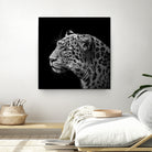 Leopard in black and white by Lukas Holas on GIANT ART - black photo manipulation