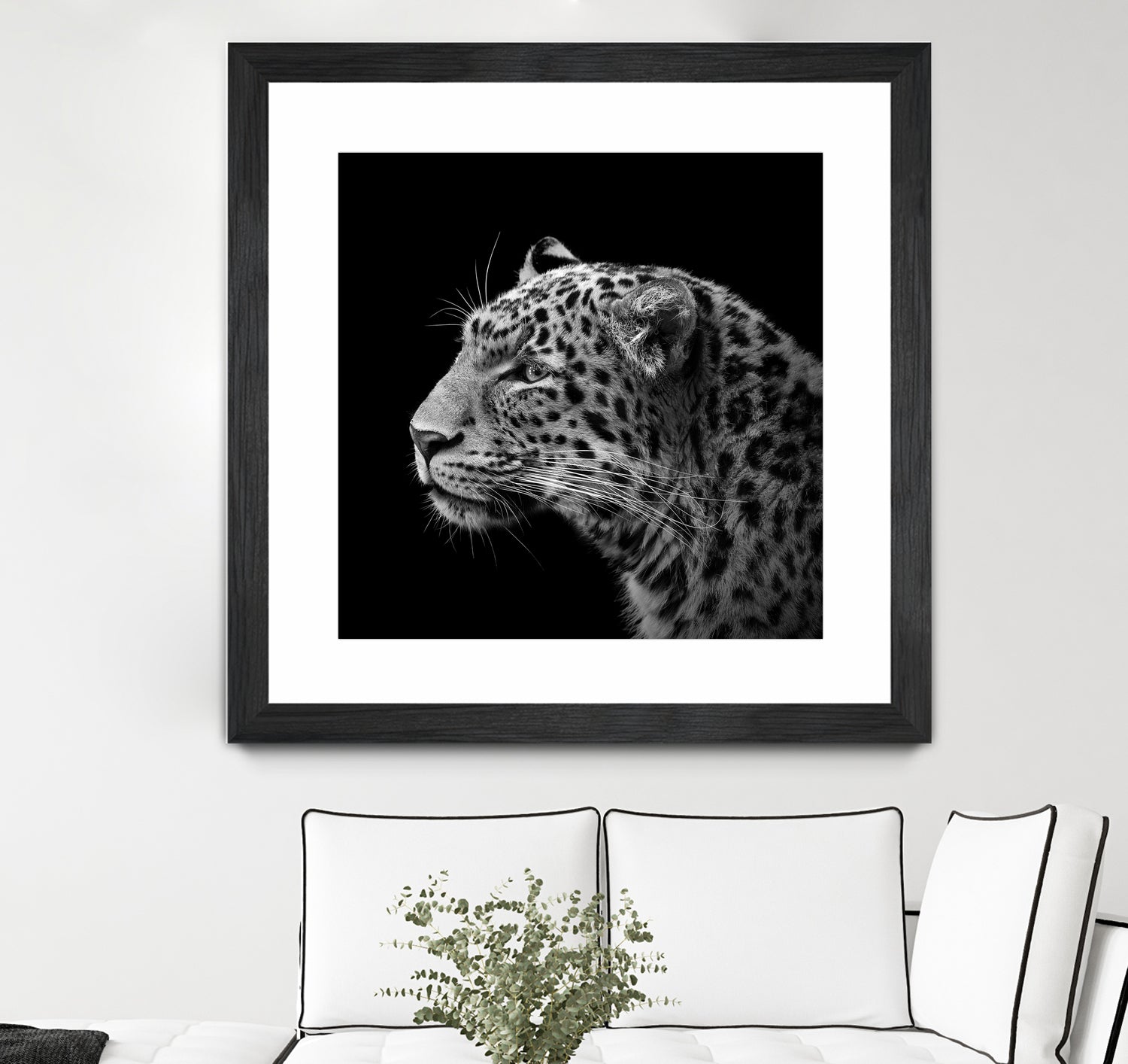 Leopard in black and white by Lukas Holas on GIANT ART - black photo manipulation