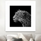 Leopard in black and white by Lukas Holas on GIANT ART - black photo manipulation