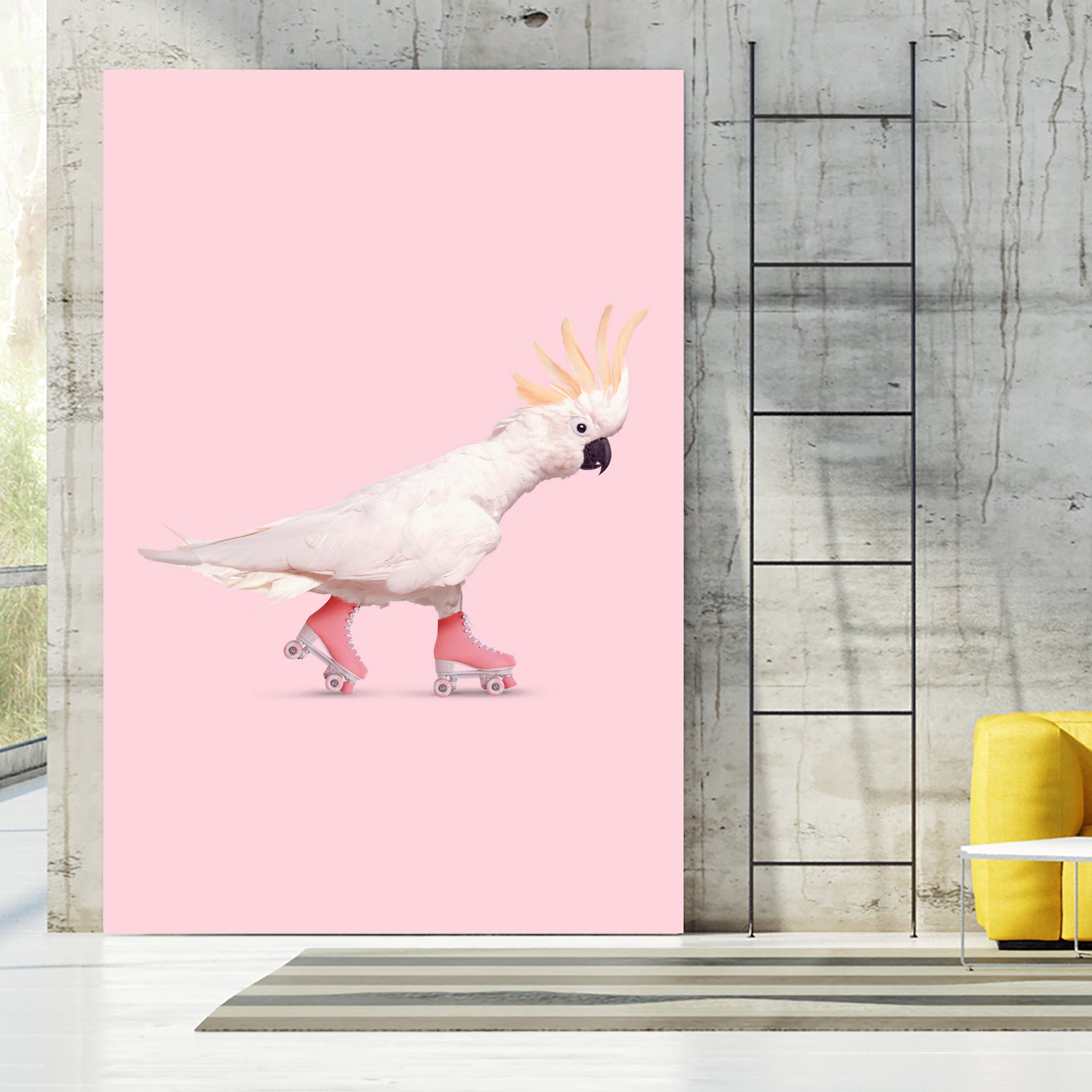 Rollerskating Cockatoo by Jonas Loose on GIANT ART - pink photo manipulation