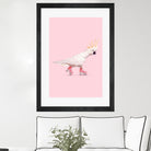 Rollerskating Cockatoo by Jonas Loose on GIANT ART - pink photo manipulation