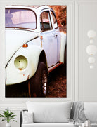 beetle vw by Roxane Barré on GIANT ART - fuchsia photo illustration