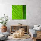 FLOWER by FREDERIC SMEETS on GIANT ART - green photo manipulation