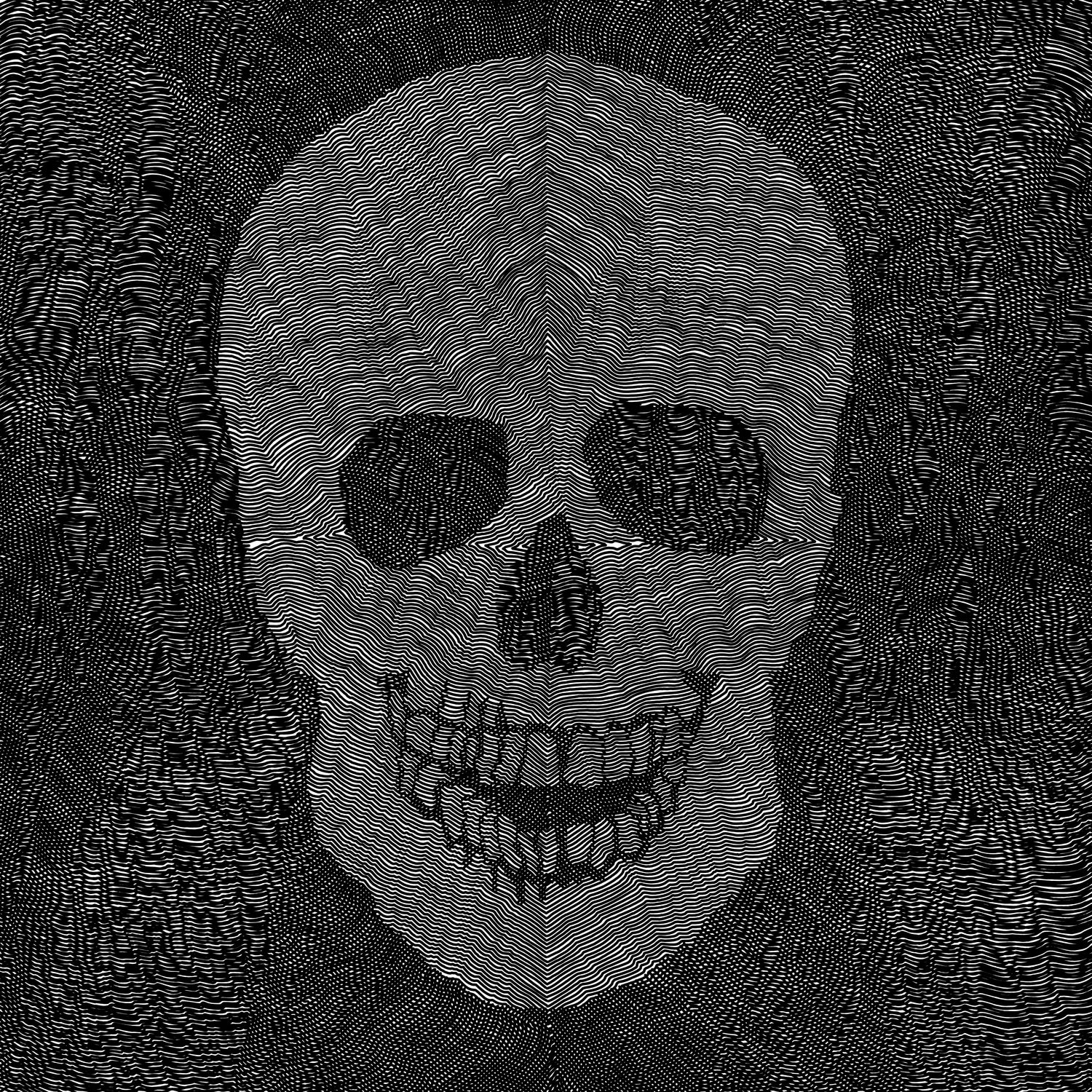 Memento Mori IV (17 hours) by Victor Fitzsimons on GIANT ART - black digital drawing