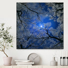 Moonlight Trees by Igor Zenin on GIANT ART - blue digital painting