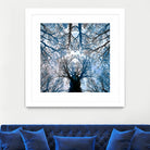 Meditative power of forest by SILVIA WISCHEROPP on GIANT ART - blue photo illustration