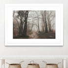 Spooky Forest by Dominika Aniola on GIANT ART - brown photo illustration