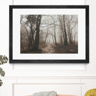 Spooky Forest by Dominika Aniola on GIANT ART - brown photo illustration