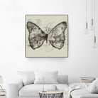 Butterfly Effect by Tobias Fonseca on GIANT ART - brown digital drawing