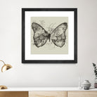 Butterfly Effect by Tobias Fonseca on GIANT ART - brown digital drawing