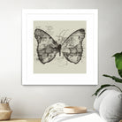 Butterfly Effect by Tobias Fonseca on GIANT ART - brown digital drawing