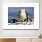 Magic Seagull on the Baltic Sea by SILVIA WISCHEROPP on GIANT ART - blue photo illustration