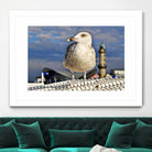 Magic Seagull on the Baltic Sea by SILVIA WISCHEROPP on GIANT ART - blue photo illustration