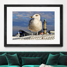 Magic Seagull on the Baltic Sea by SILVIA WISCHEROPP on GIANT ART - blue photo illustration