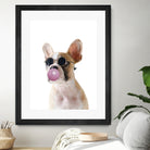 Dog With Bubble Gum by miguel angel romero franco on GIANT ART - pink photo manipulation