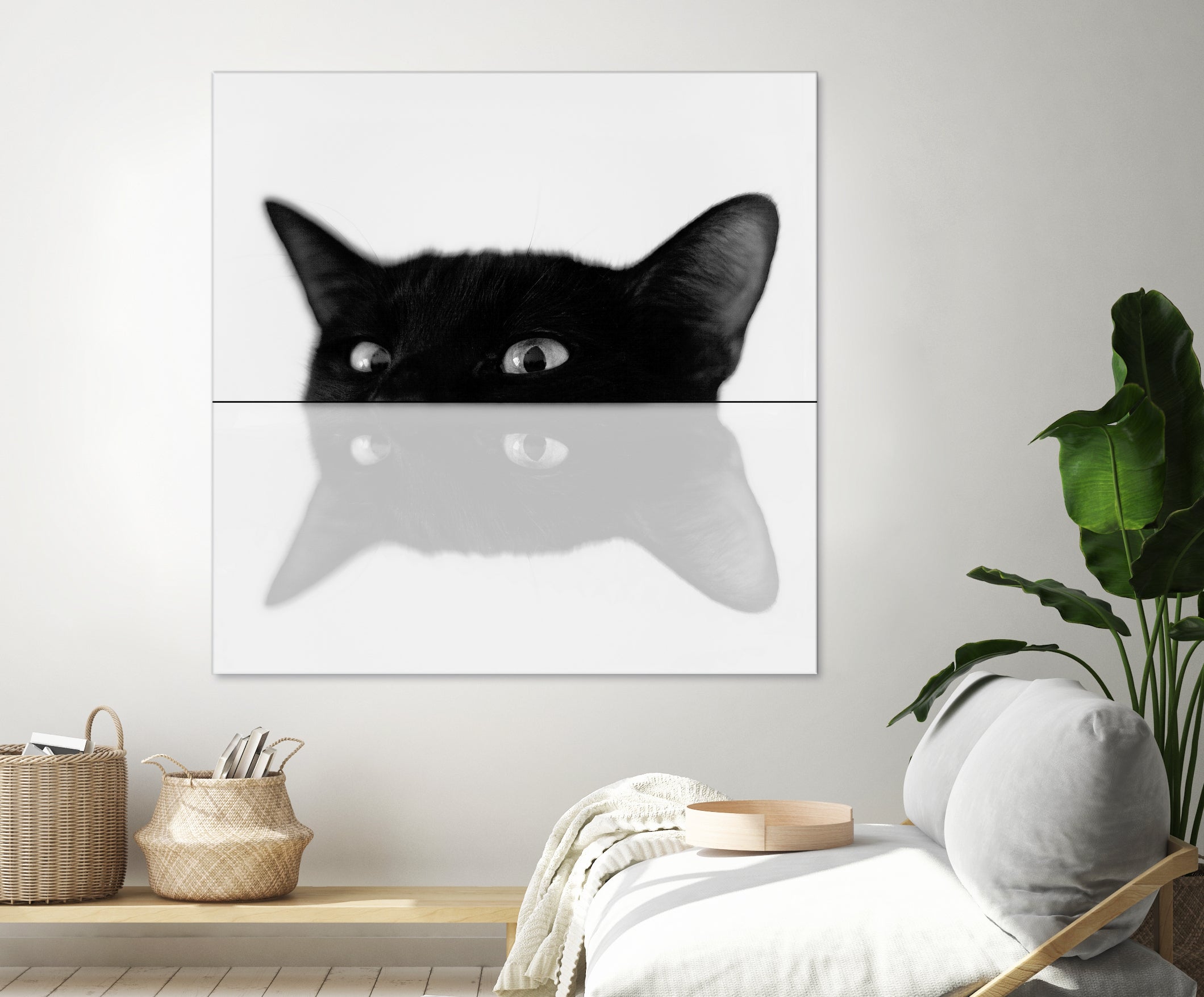 Cat by Tsvetelina Yurukova on GIANT ART - black photo illustration