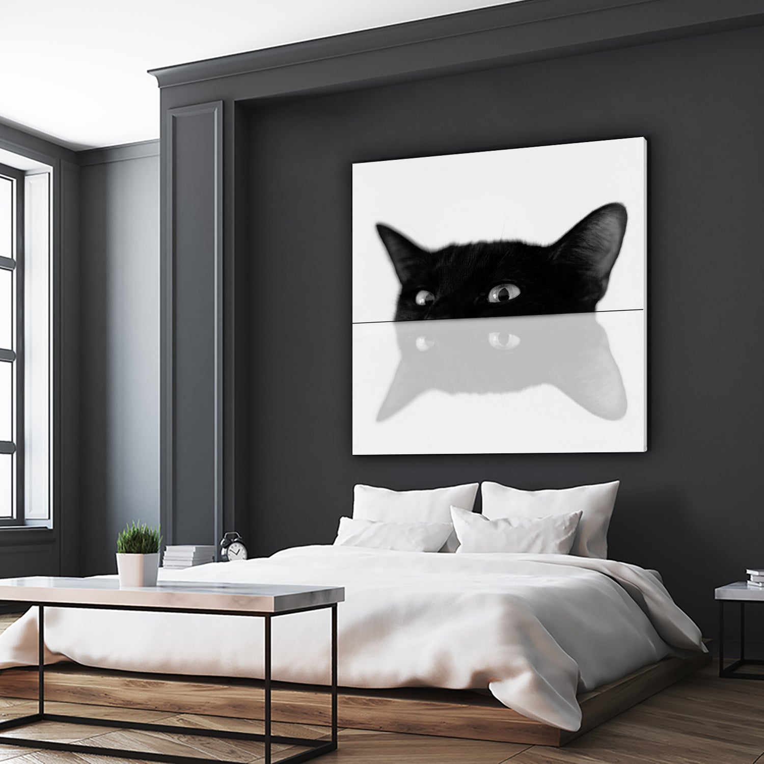 Cat by Tsvetelina Yurukova on GIANT ART - black photo illustration