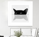 Cat by Tsvetelina Yurukova on GIANT ART - black photo illustration