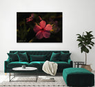 The Wet Kiss by Tim Loomis on GIANT ART - red photo manipulation