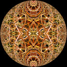 Red Grasses 3 Mandala by Digital Crafts on GIANT ART - brown photo illustration