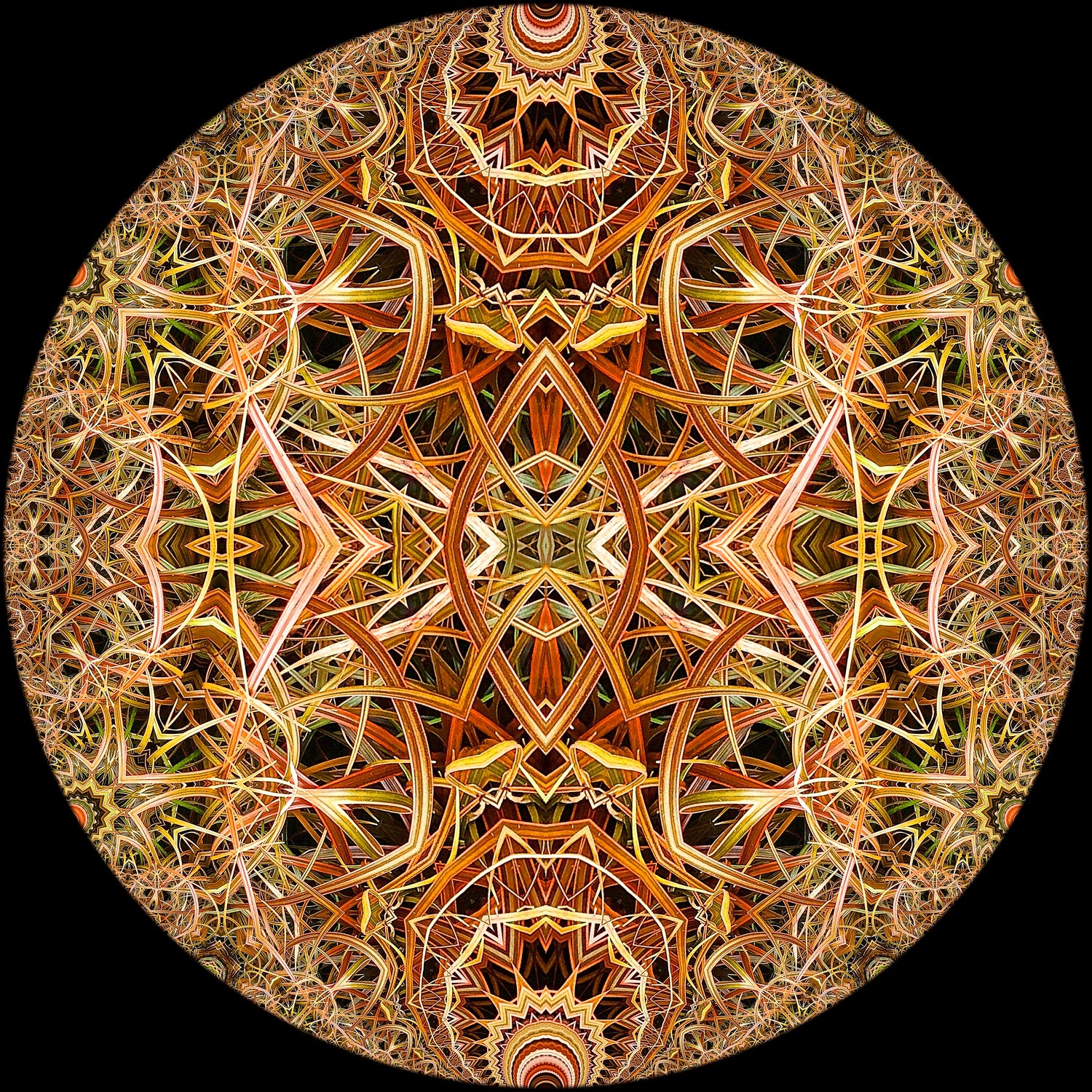 Red Grasses 3 Mandala by Digital Crafts on GIANT ART - brown photo illustration