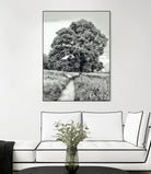 El Árbol by Adrian Daine on GIANT ART - white photo illustration