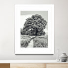 El Árbol by Adrian Daine on GIANT ART - white photo illustration