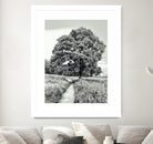 El Árbol by Adrian Daine on GIANT ART - white photo illustration