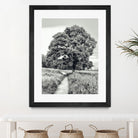 El Árbol by Adrian Daine on GIANT ART - white photo illustration