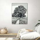 El Árbol by Adrian Daine on GIANT ART - white photo illustration