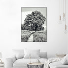 El Árbol by Adrian Daine on GIANT ART - white photo illustration