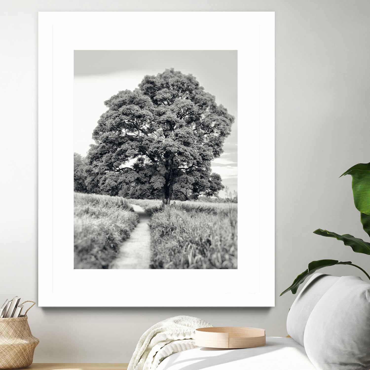 El Árbol by Adrian Daine on GIANT ART - white photo illustration