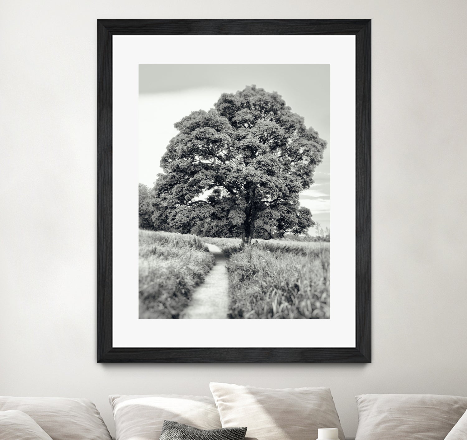 El Árbol by Adrian Daine on GIANT ART - white photo illustration