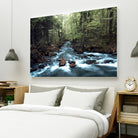 River through the Woods by William Cuccio on GIANT ART - green photo illustration