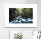 River through the Woods by William Cuccio on GIANT ART - green photo illustration