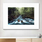 River through the Woods by William Cuccio on GIANT ART - green photo illustration