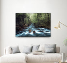 River through the Woods by William Cuccio on GIANT ART - green photo illustration