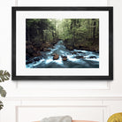 River through the Woods by William Cuccio on GIANT ART - green photo illustration