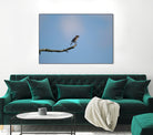 Happy Hoppy Bird by Chris Jackson on GIANT ART - brown mixed media