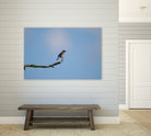Happy Hoppy Bird by Chris Jackson on GIANT ART - brown mixed media